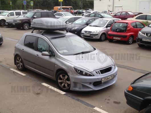 Обвес Carzone Peugeot 307cc